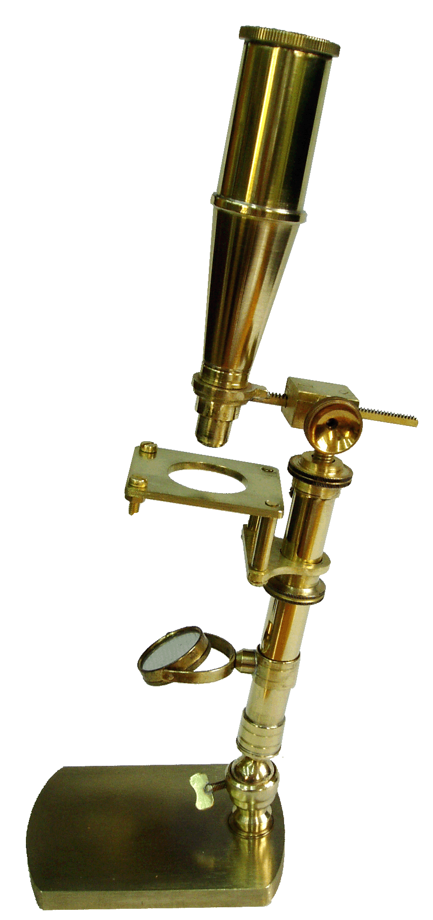Darwin Microscopio