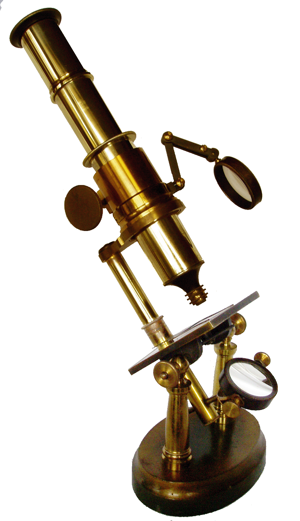 microscopio dos columnas